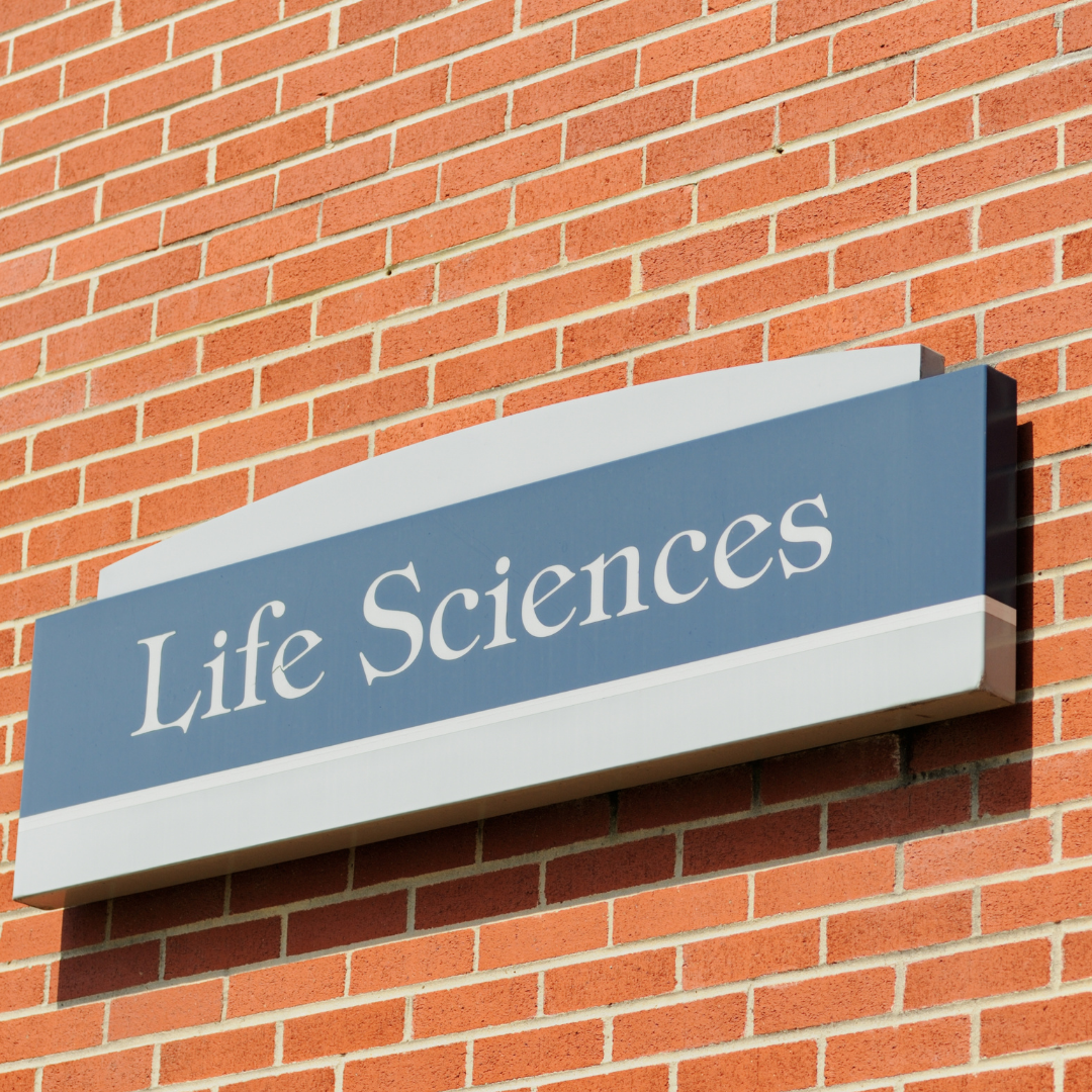 Why cities should embrace life sciences as an economic driver